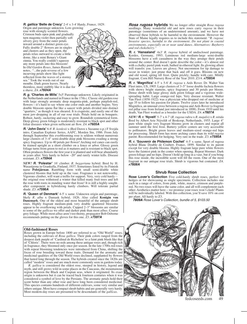 Fedco Seeds Trees Catalog Weekly Ad January 1 - December 31, 2026