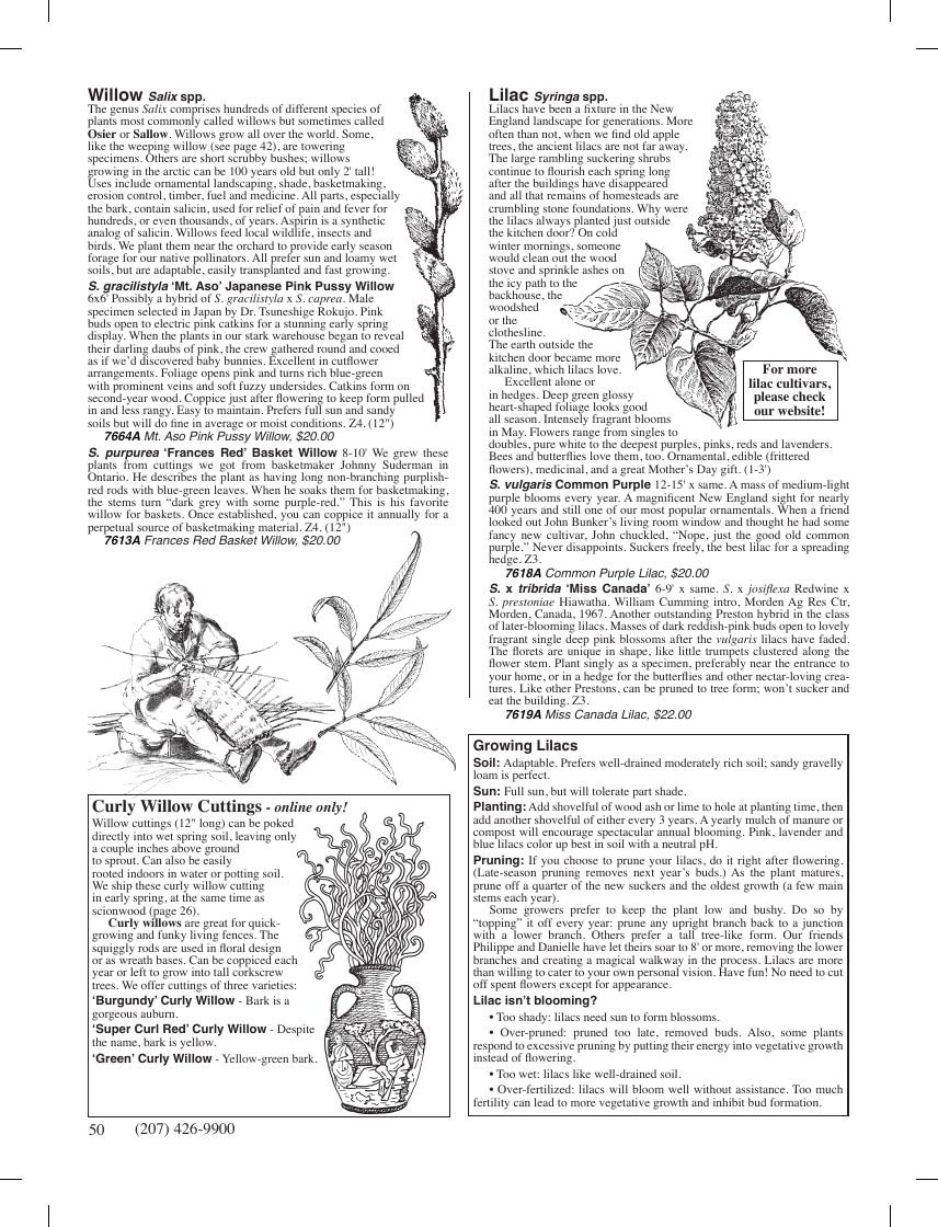 Fedco Seeds Trees Catalog Weekly Ad January 1 - December 31, 2026