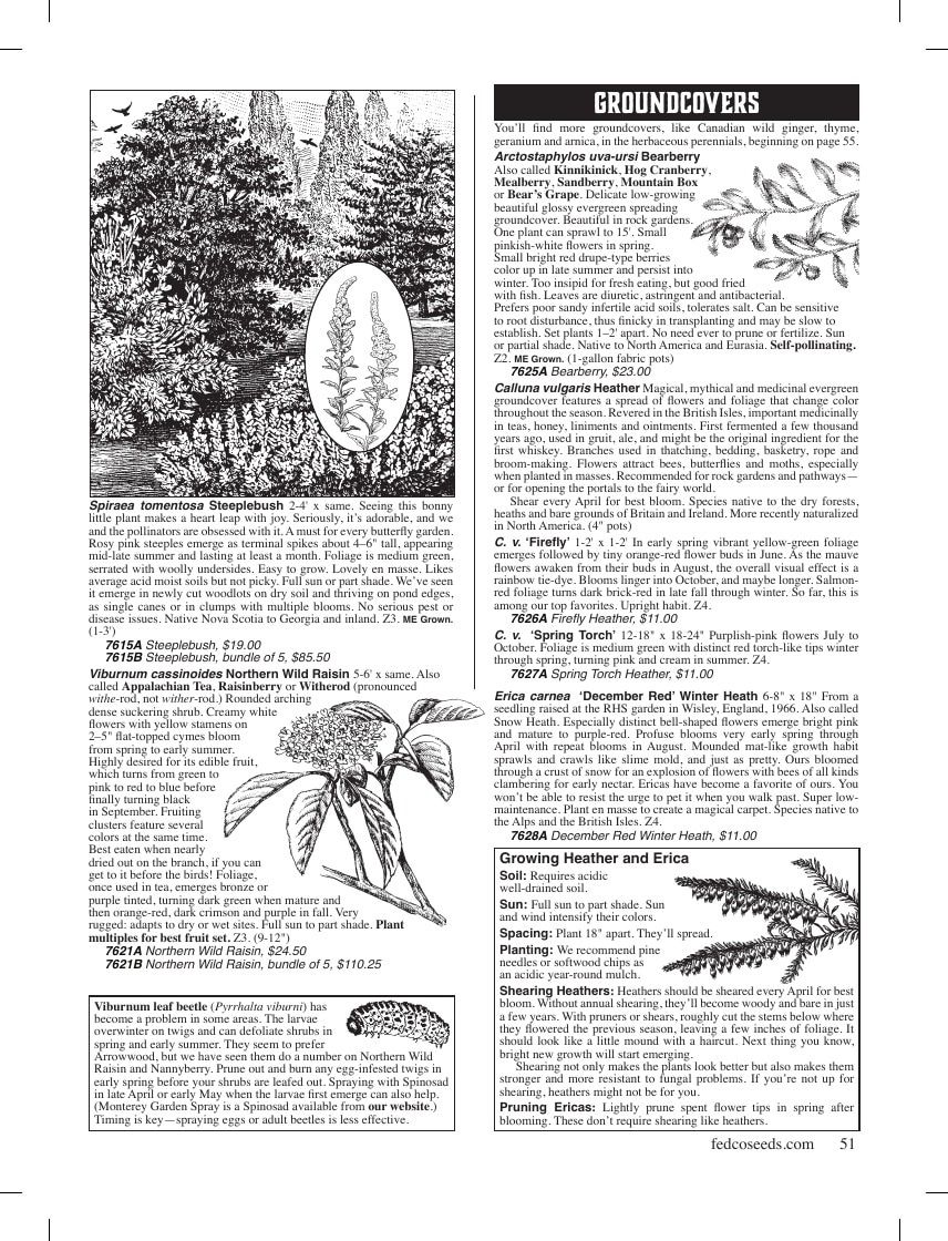 Fedco Seeds Trees Catalog Weekly Ad January 1 - December 31, 2026