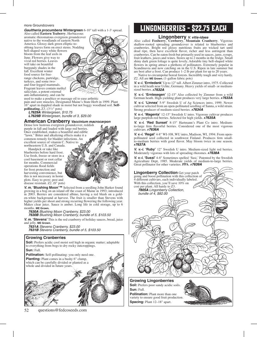Fedco Seeds Trees Catalog Weekly Ad January 1 - December 31, 2026