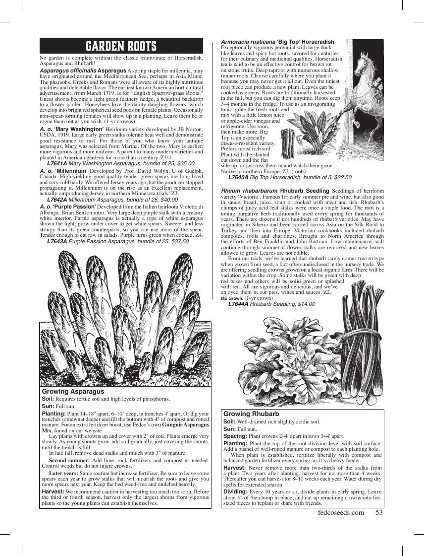 Fedco Seeds Trees Catalog Weekly Ad January 1 - December 31, 2026