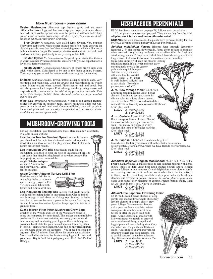 Fedco Seeds Trees Catalog Weekly Ad January 1 - December 31, 2026