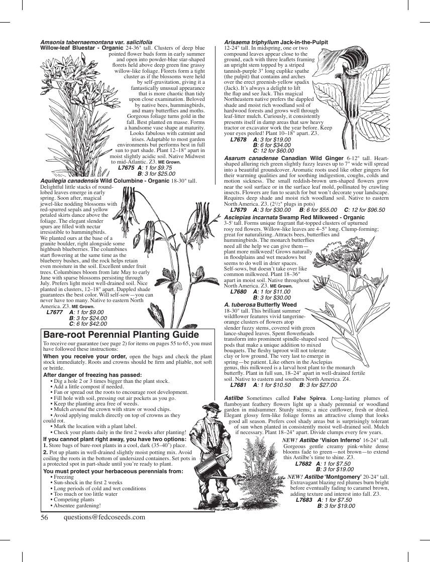 Fedco Seeds Trees Catalog Weekly Ad January 1 - December 31, 2026