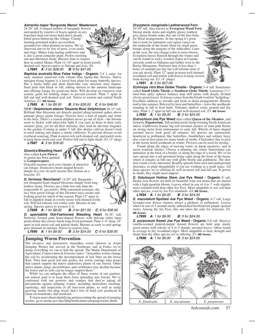 Fedco Seeds Trees Catalog Weekly Ad January 1 - December 31, 2026