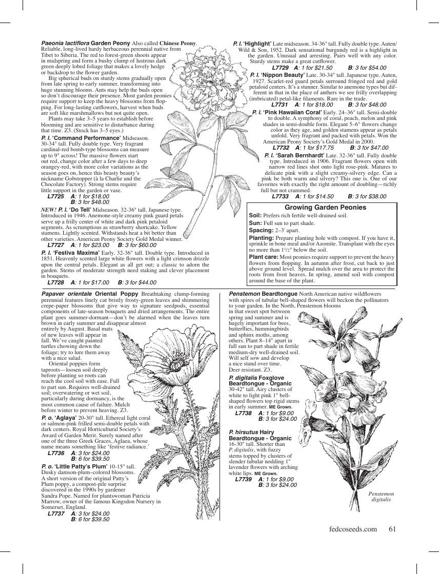Fedco Seeds Trees Catalog Weekly Ad January 1 - December 31, 2026
