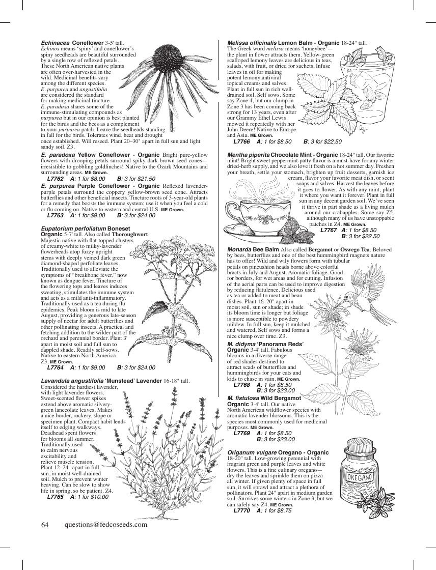 Fedco Seeds Trees Catalog Weekly Ad January 1 - December 31, 2026