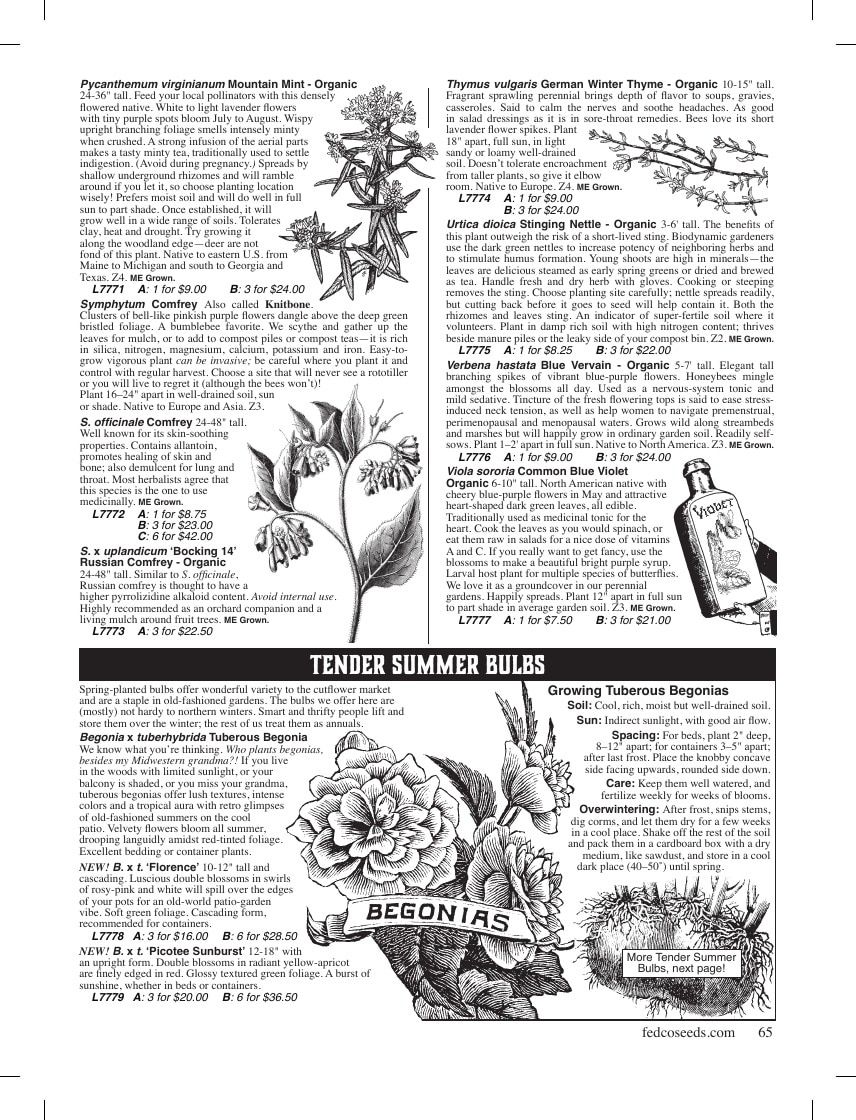 Fedco Seeds Trees Catalog Weekly Ad January 1 - December 31, 2026