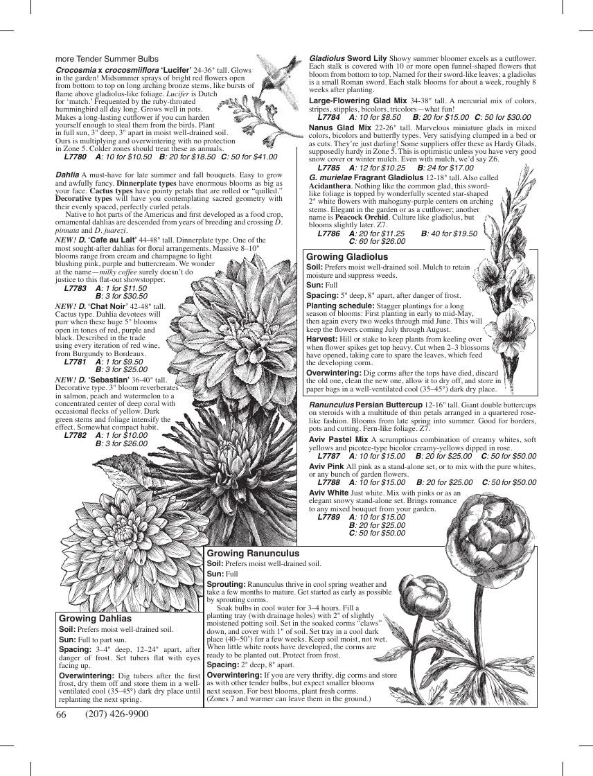 Fedco Seeds Trees Catalog Weekly Ad January 1 - December 31, 2026