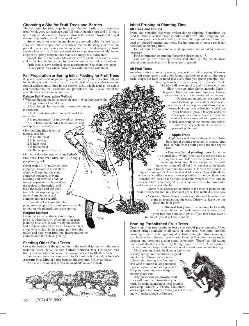 Fedco Seeds Trees Catalog Weekly Ad January 1 - December 31, 2026