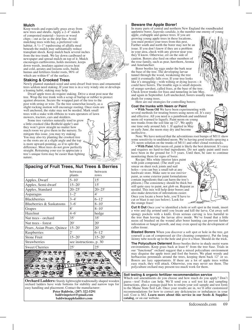 Fedco Seeds Trees Catalog Weekly Ad January 1 - December 31, 2026