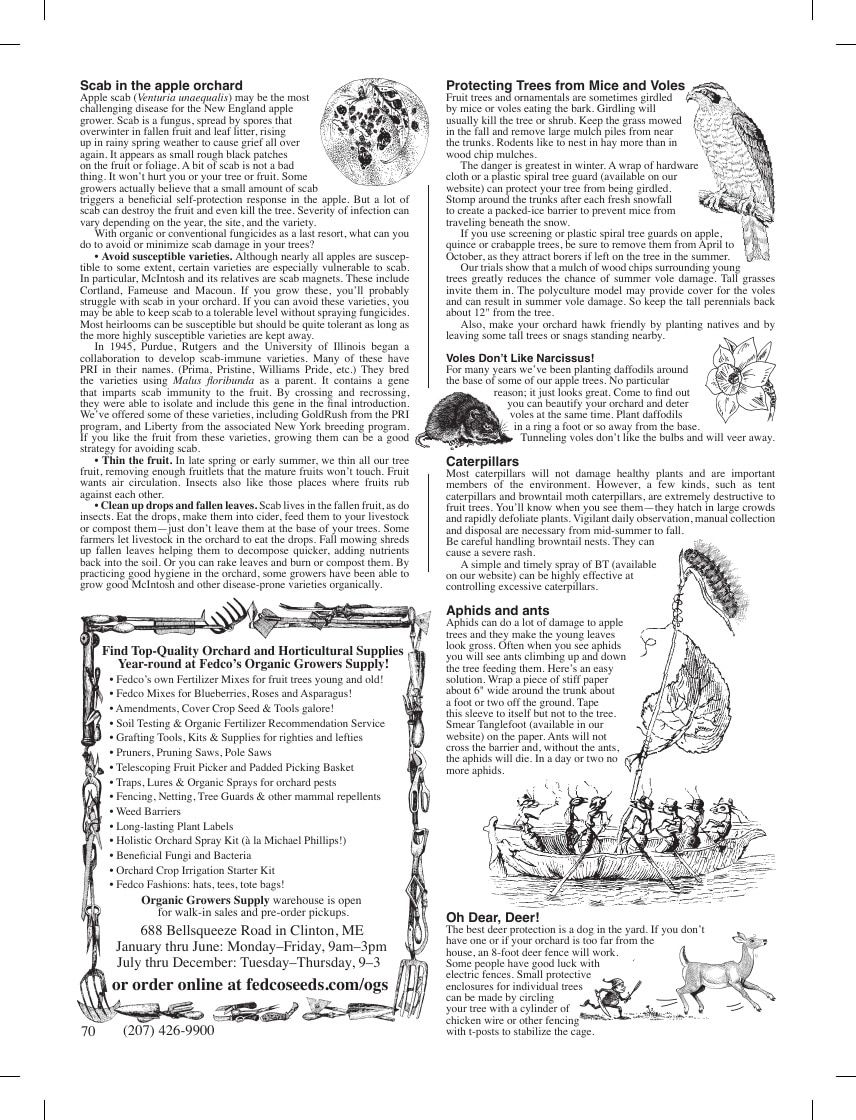 Fedco Seeds Trees Catalog Weekly Ad January 1 - December 31, 2026
