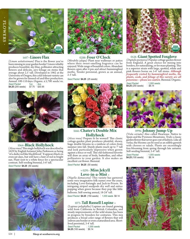 Seed Savers Exchange Annual Catalog Weekly Ad January 1 - December 31, 2026