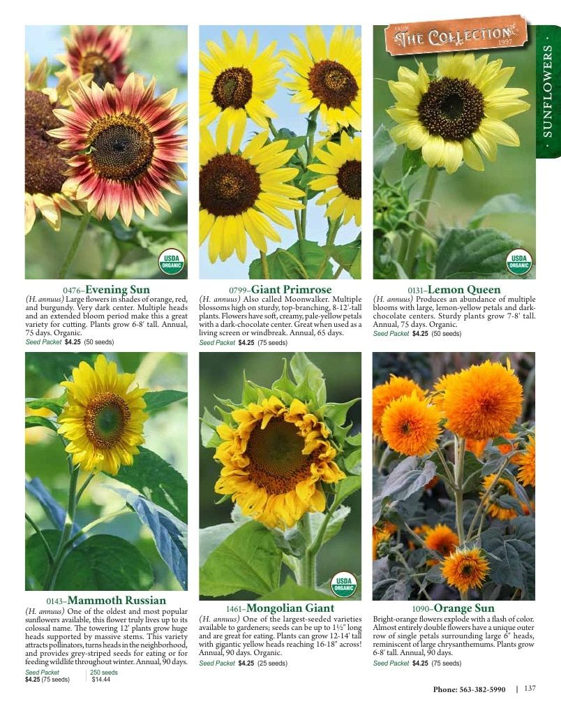 Seed Savers Exchange Annual Catalog Weekly Ad January 1 - December 31, 2026