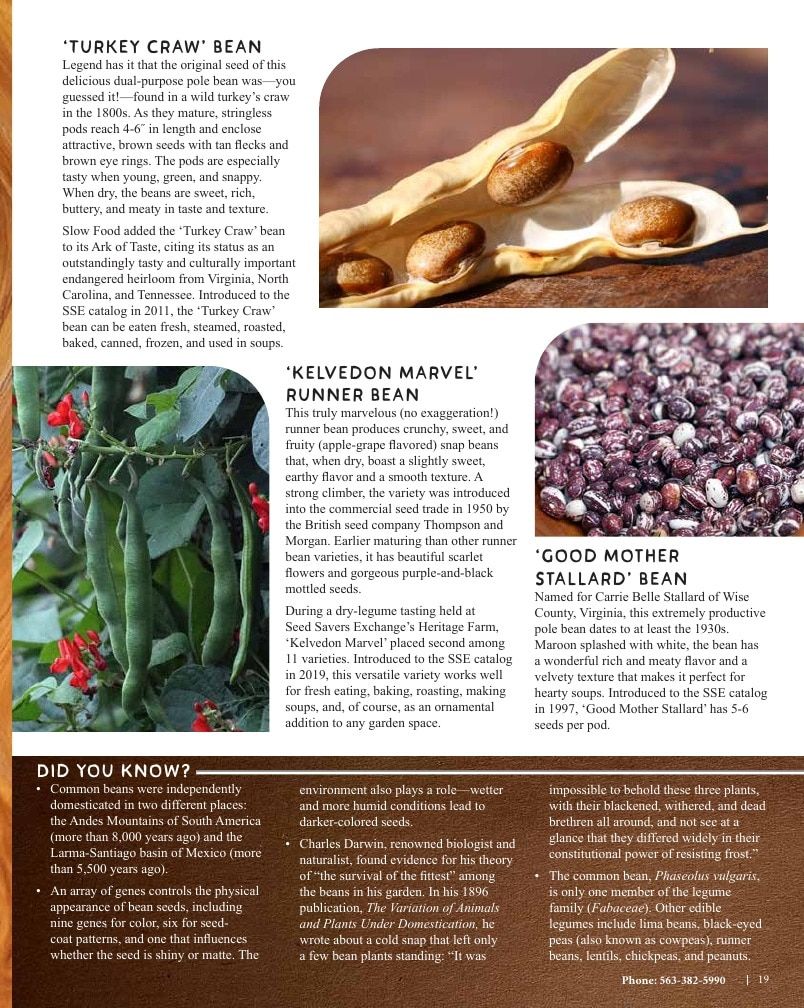 Seed Savers Exchange Annual Catalog Weekly Ad January 1 - December 31, 2026