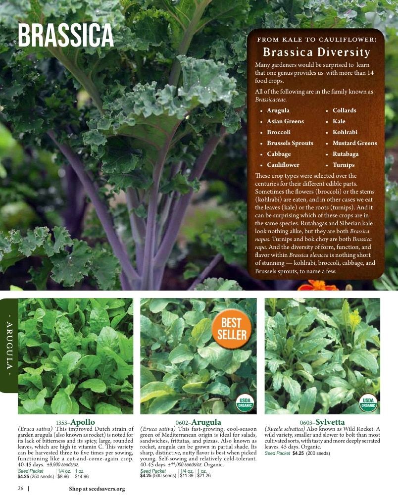 Seed Savers Exchange Annual Catalog Weekly Ad January 1 - December 31, 2026