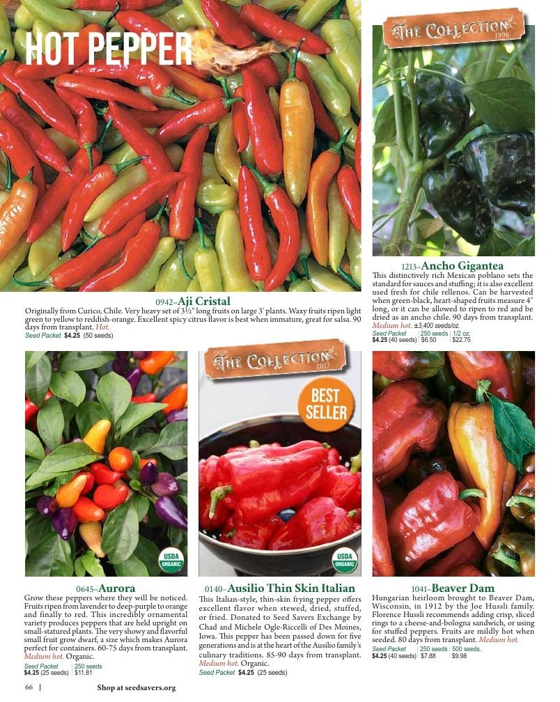Seed Savers Exchange Annual Catalog Weekly Ad January 1 - December 31, 2026