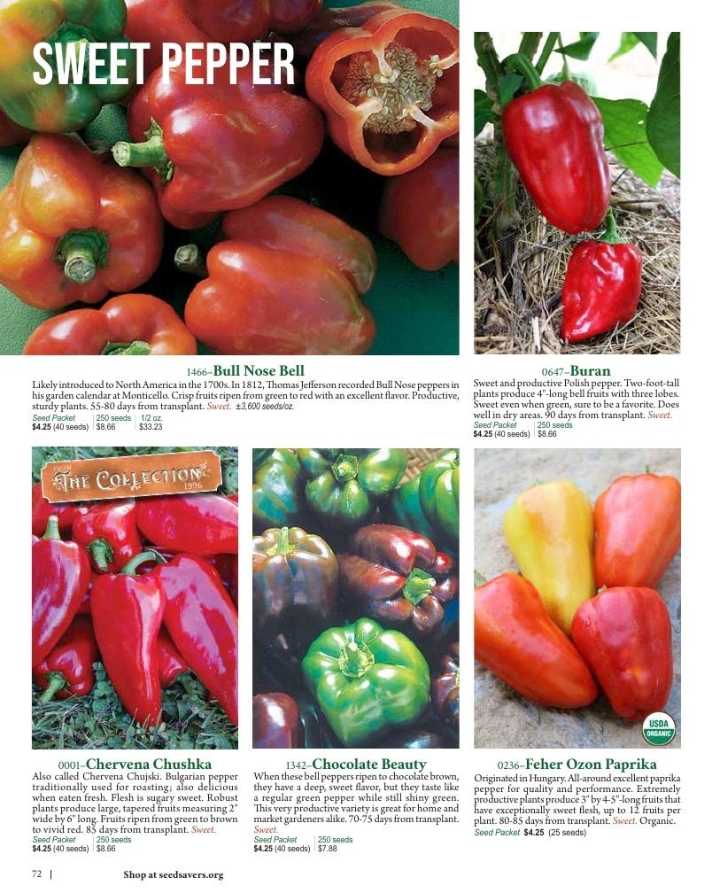 Seed Savers Exchange Annual Catalog Weekly Ad January 1 - December 31, 2026