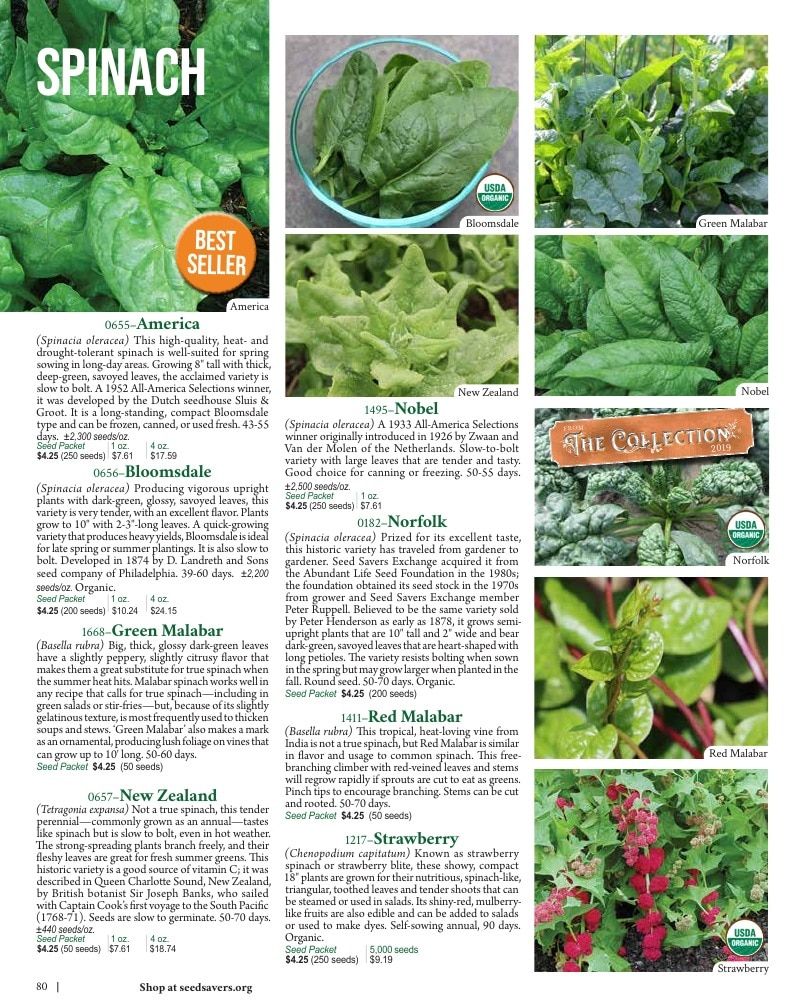 Seed Savers Exchange Annual Catalog Weekly Ad January 1 - December 31, 2026