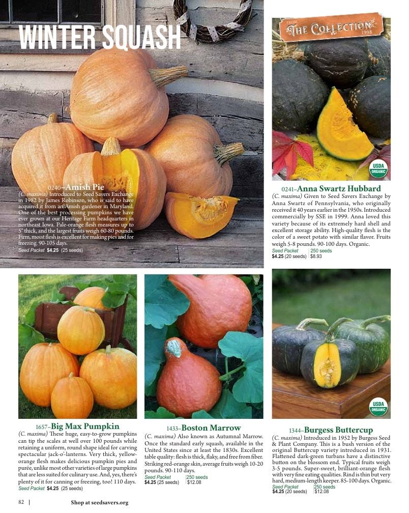Seed Savers Exchange Annual Catalog Weekly Ad January 1 - December 31, 2026