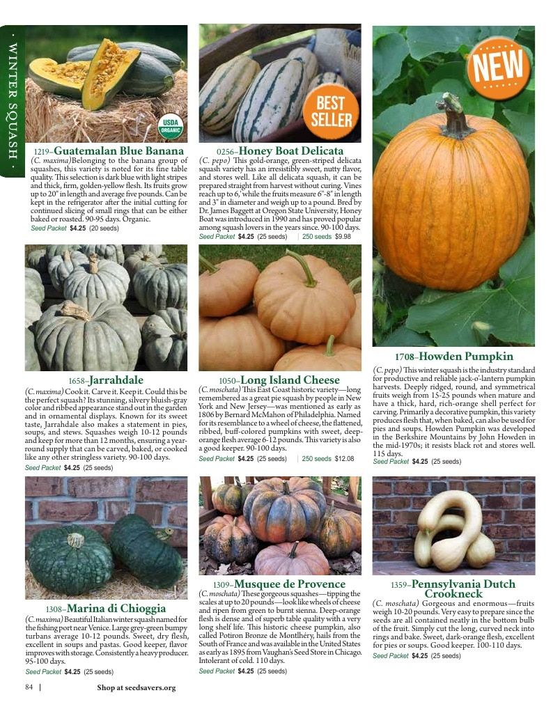 Seed Savers Exchange Annual Catalog Weekly Ad January 1 - December 31, 2026