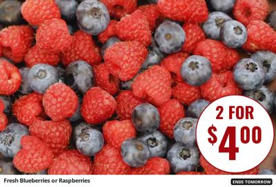 Stokes Market (Idaho, Montana, Utah) Weekly Ad August 12 - 18, 2026