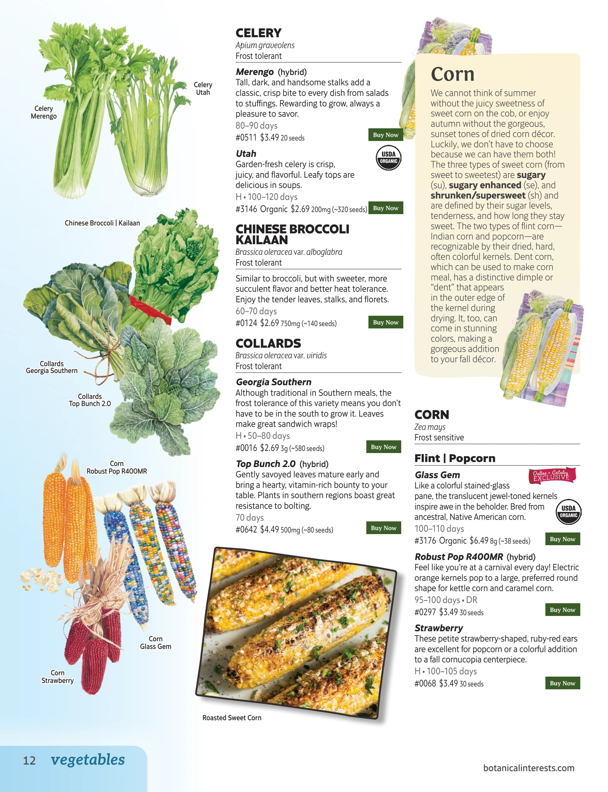 Botanical Interests Annual Catalog Weekly Ad January 1 - December 31, 2026