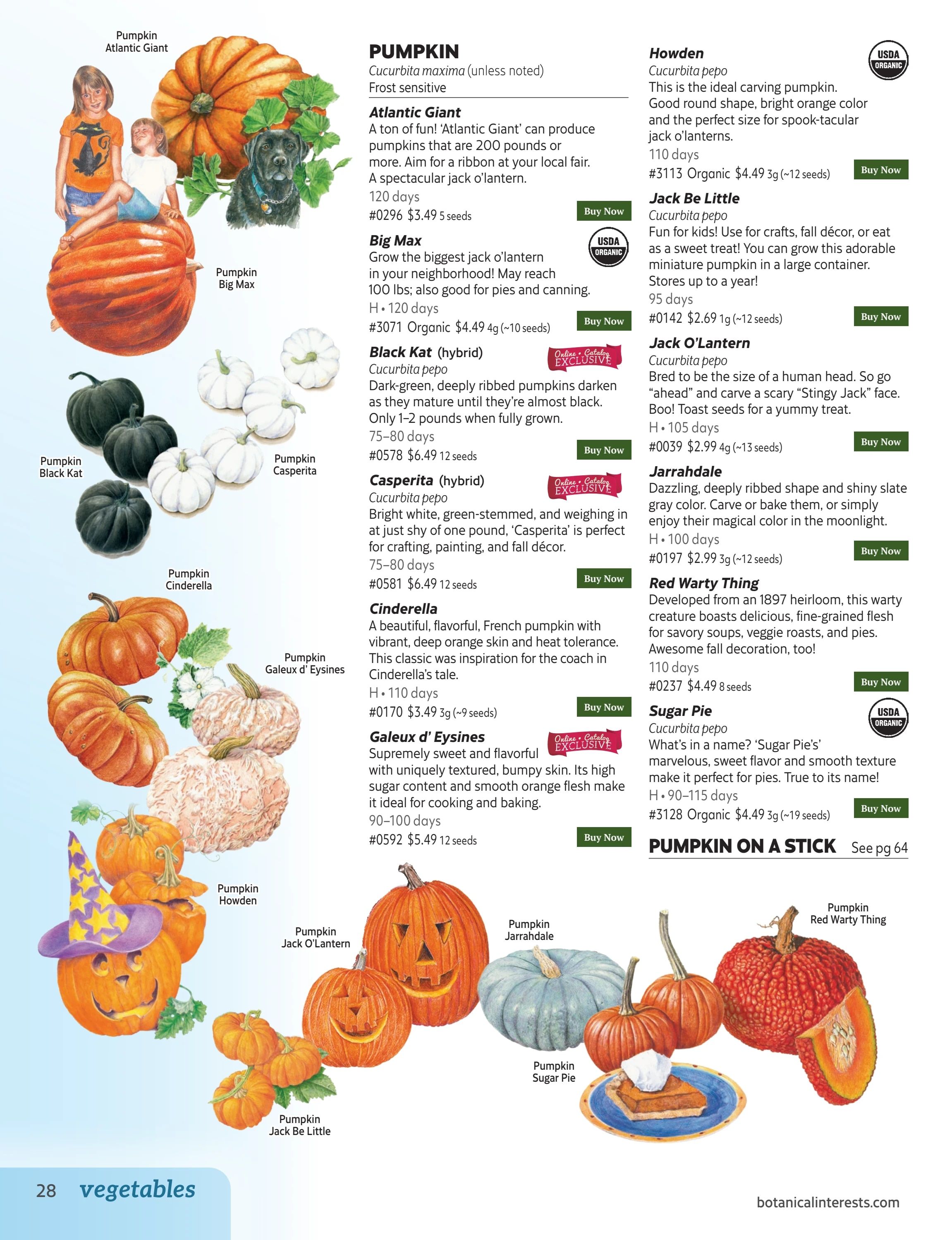 Botanical Interests Annual Catalog Weekly Ad January 1 - December 31, 2026