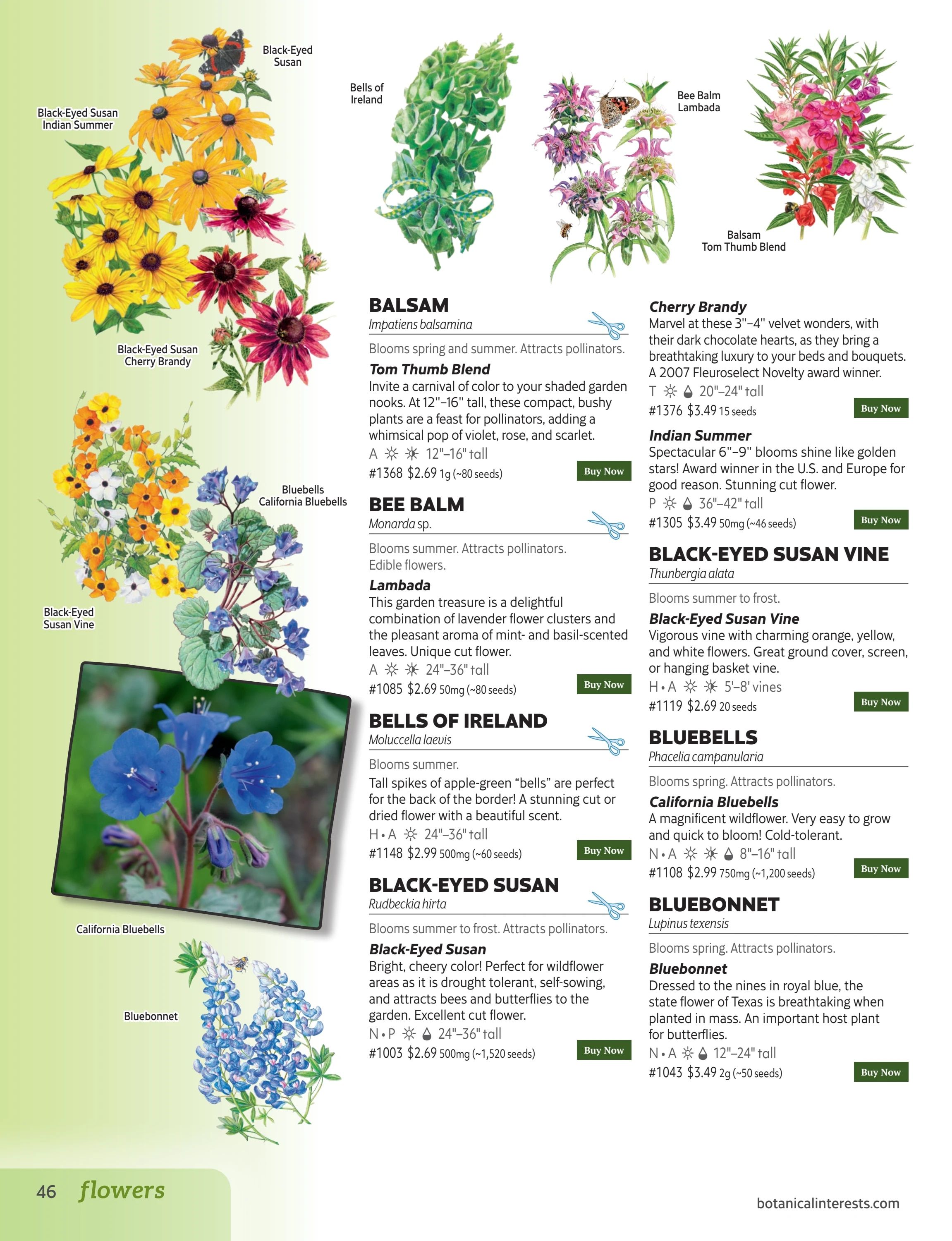 Botanical Interests Annual Catalog Weekly Ad January 1 - December 31, 2026