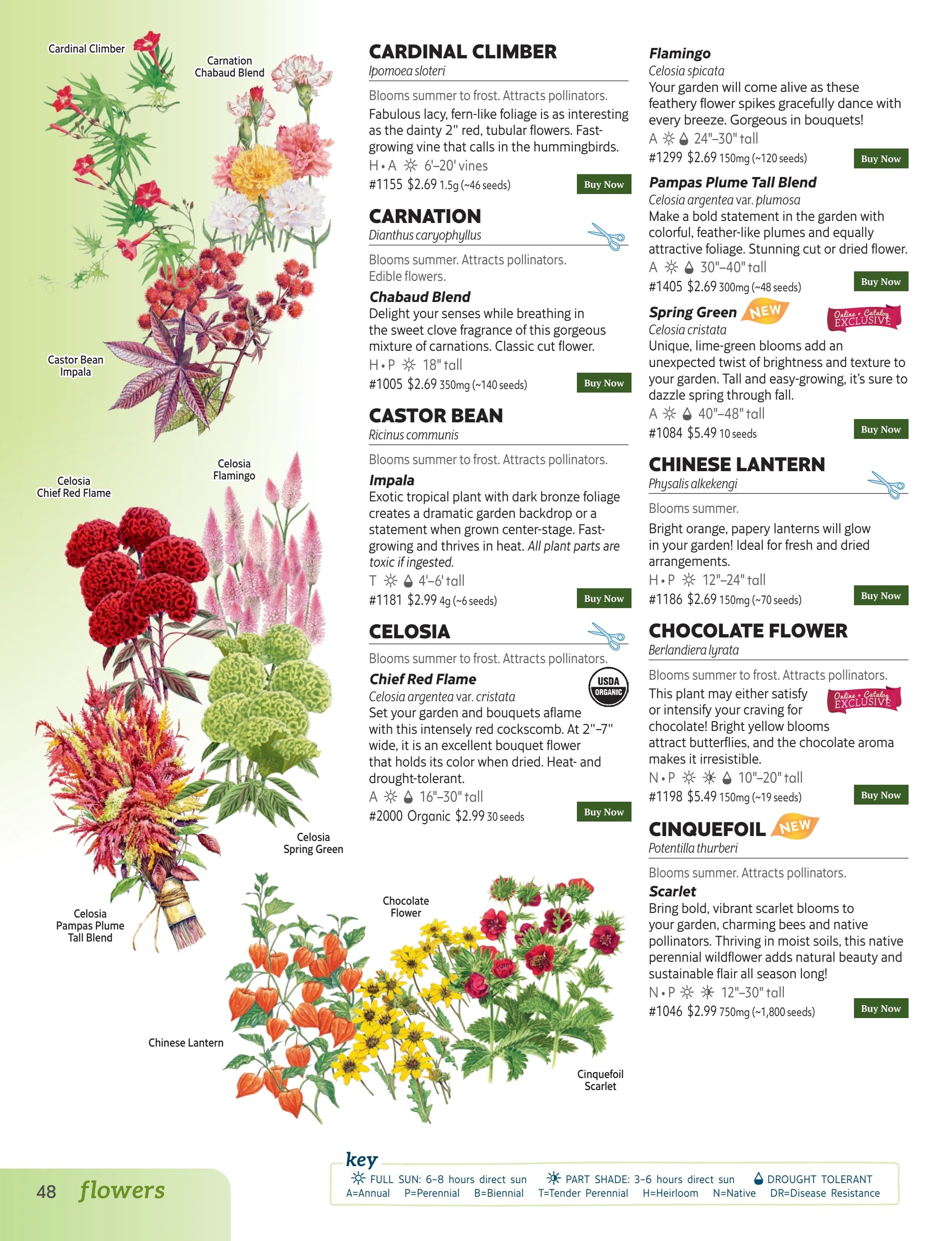 Botanical Interests Annual Catalog Weekly Ad January 1 - December 31, 2026