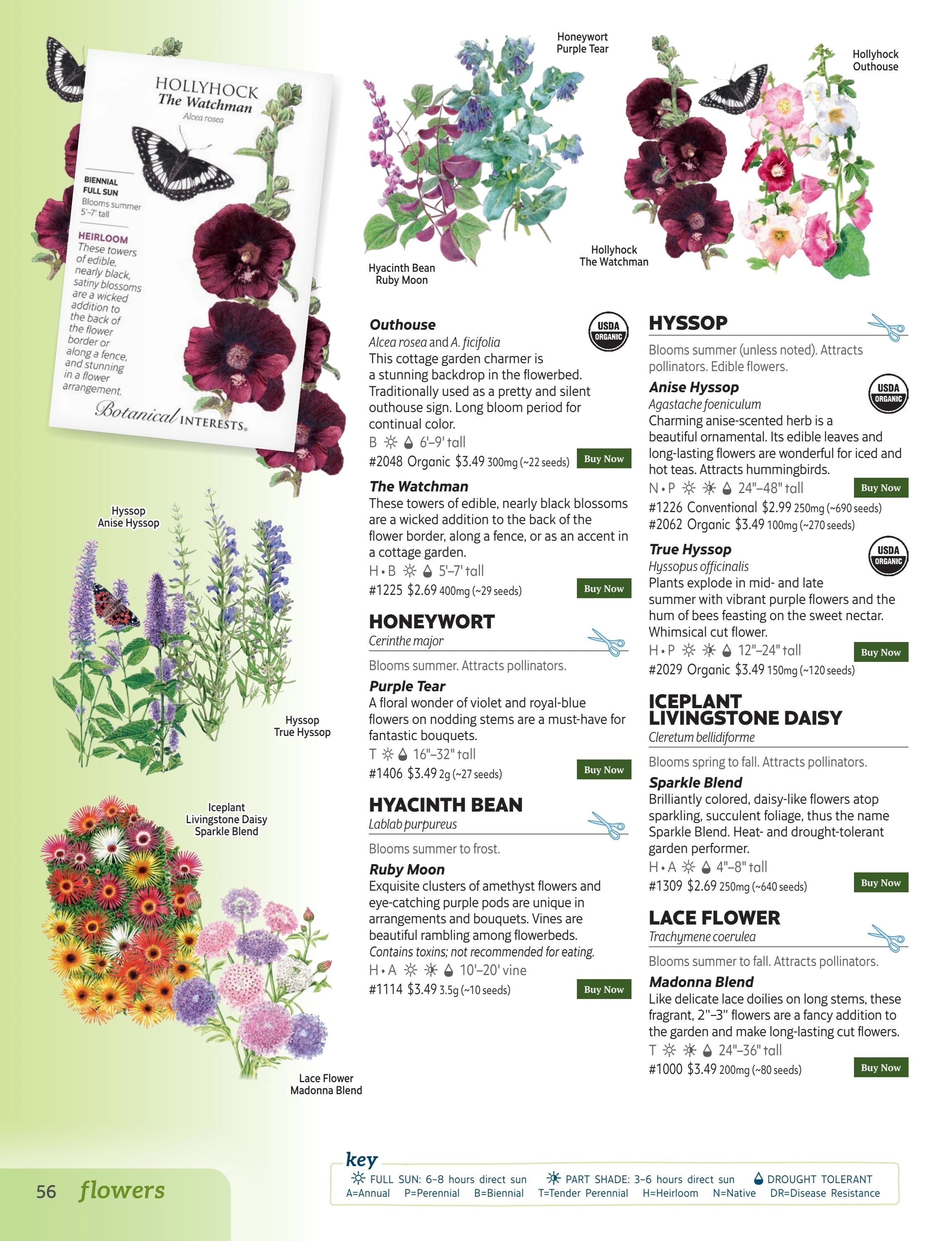 Botanical Interests Annual Catalog Weekly Ad January 1 - December 31, 2026