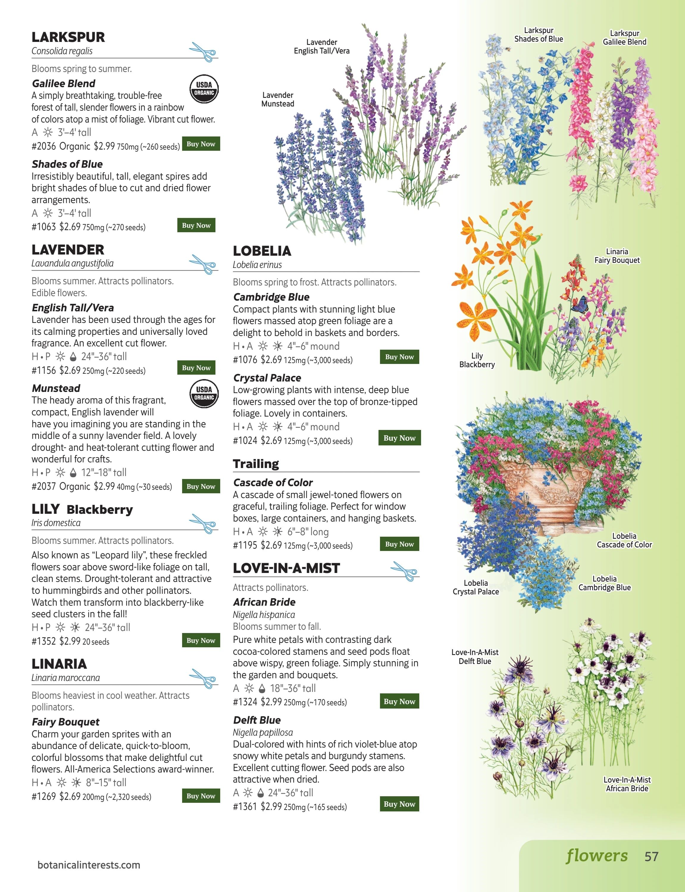 Botanical Interests Annual Catalog Weekly Ad January 1 - December 31, 2026