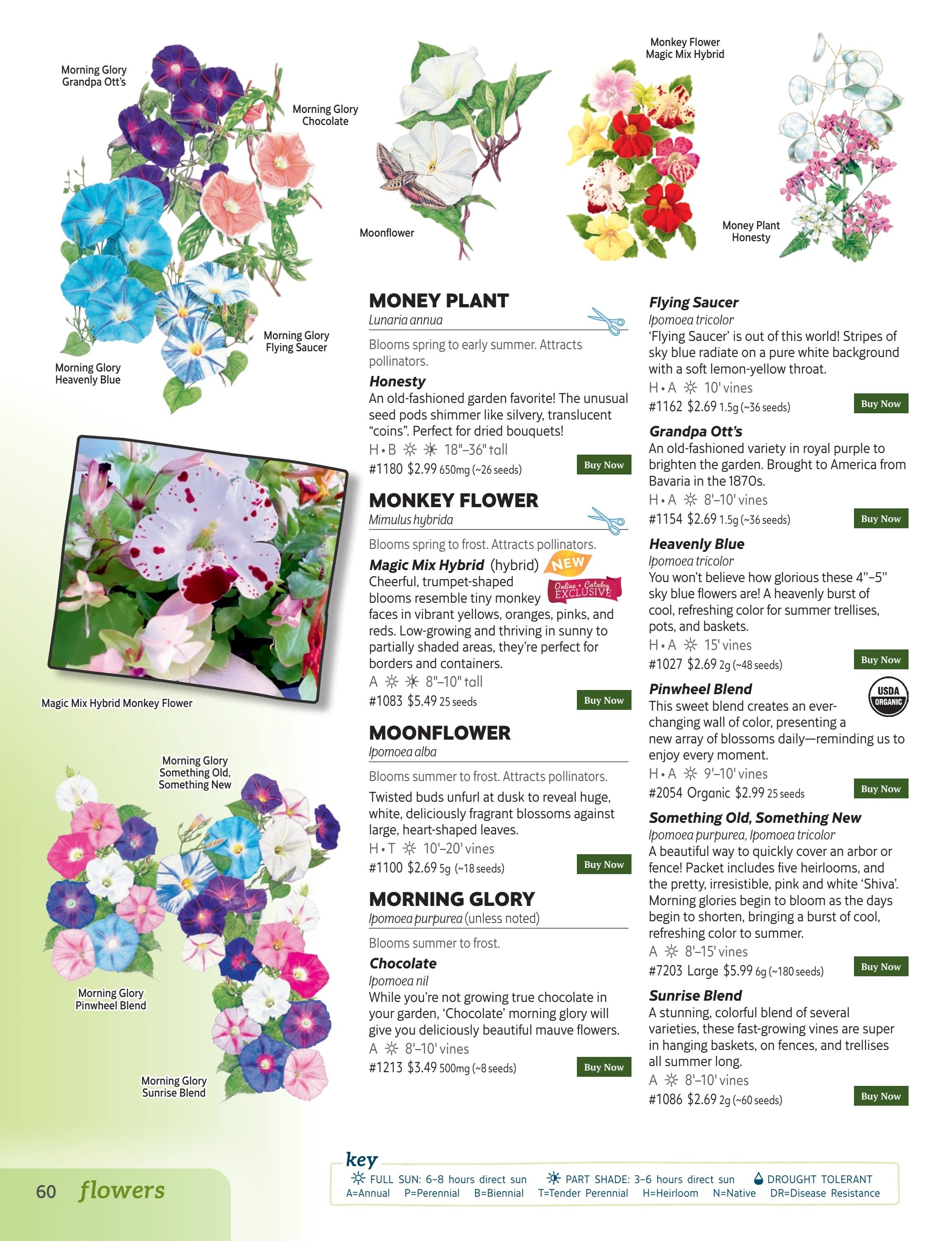 Botanical Interests Annual Catalog Weekly Ad January 1 - December 31, 2026