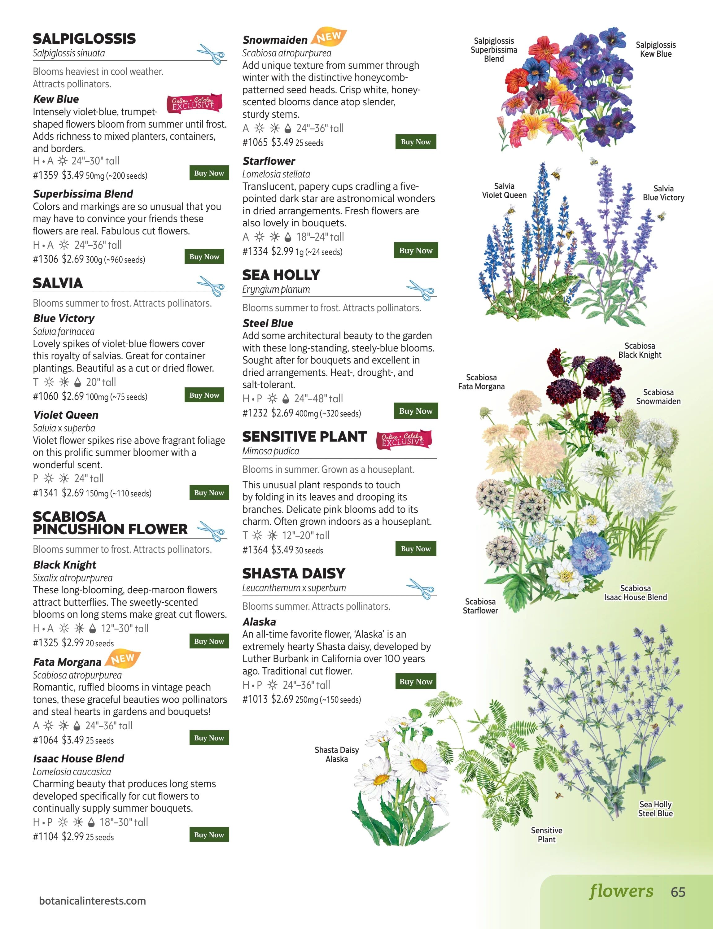 Botanical Interests Annual Catalog Weekly Ad January 1 - December 31, 2026