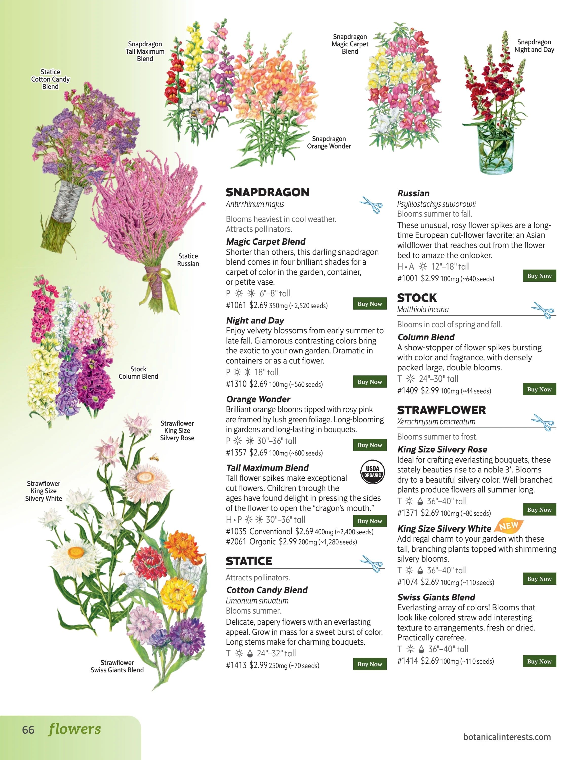 Botanical Interests Annual Catalog Weekly Ad January 1 - December 31, 2026