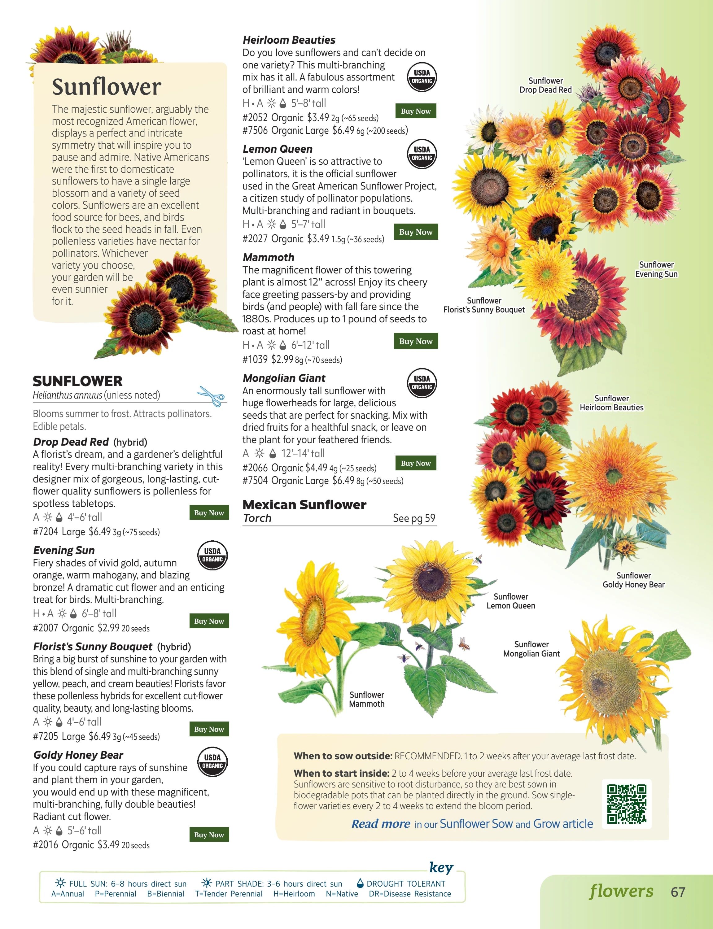 Botanical Interests Annual Catalog Weekly Ad January 1 - December 31, 2026