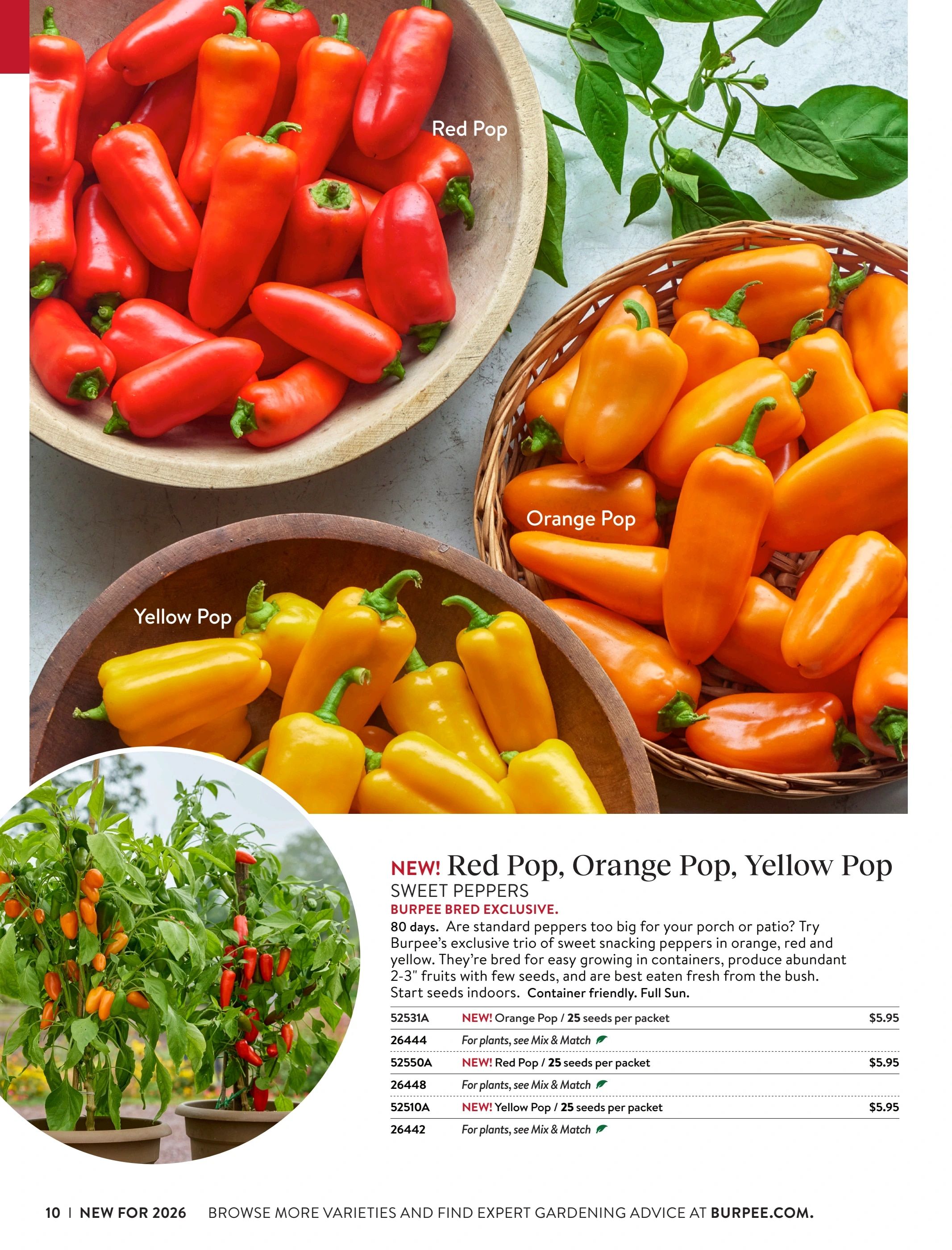 Burpee Annual Seed Catalog Weekly Ad January 1 - December 31, 2026