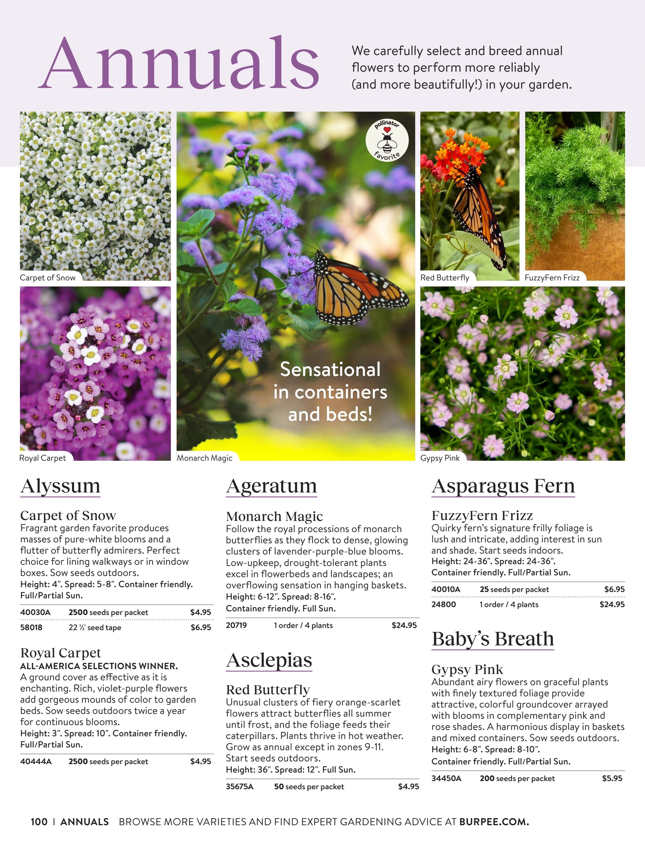 Burpee Annual Seed Catalog Weekly Ad January 1 - December 31, 2026