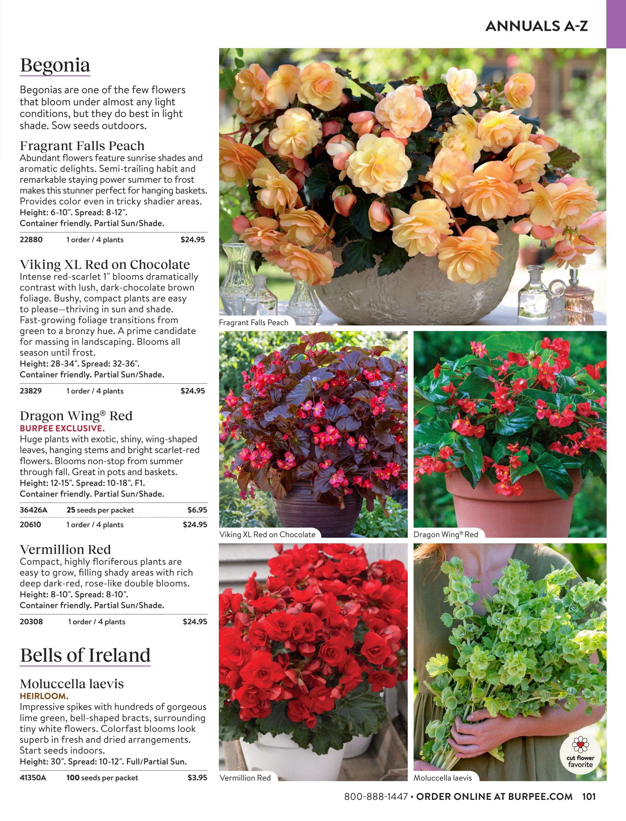 Burpee Annual Seed Catalog Weekly Ad January 1 - December 31, 2026