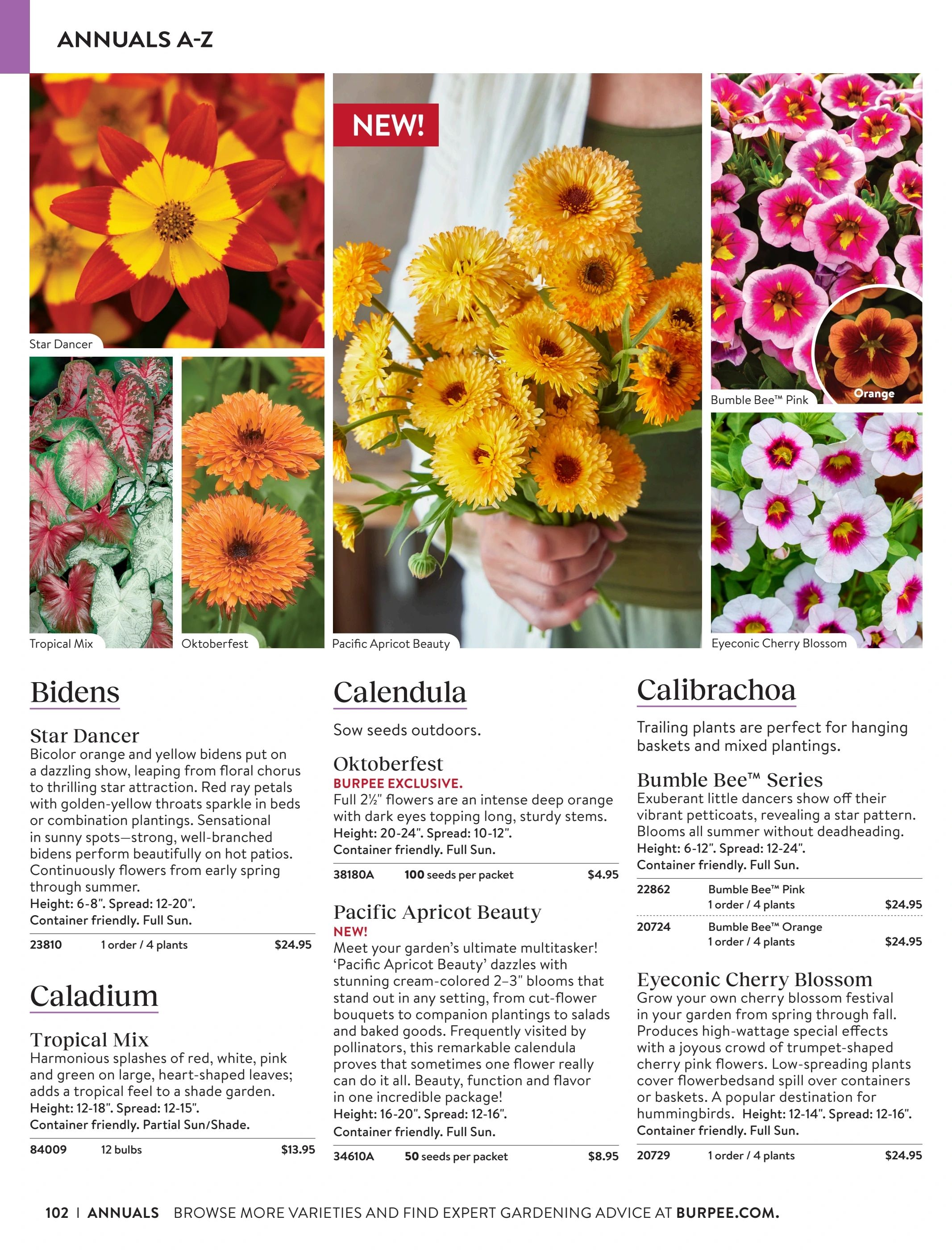 Burpee Annual Seed Catalog Weekly Ad January 1 - December 31, 2026