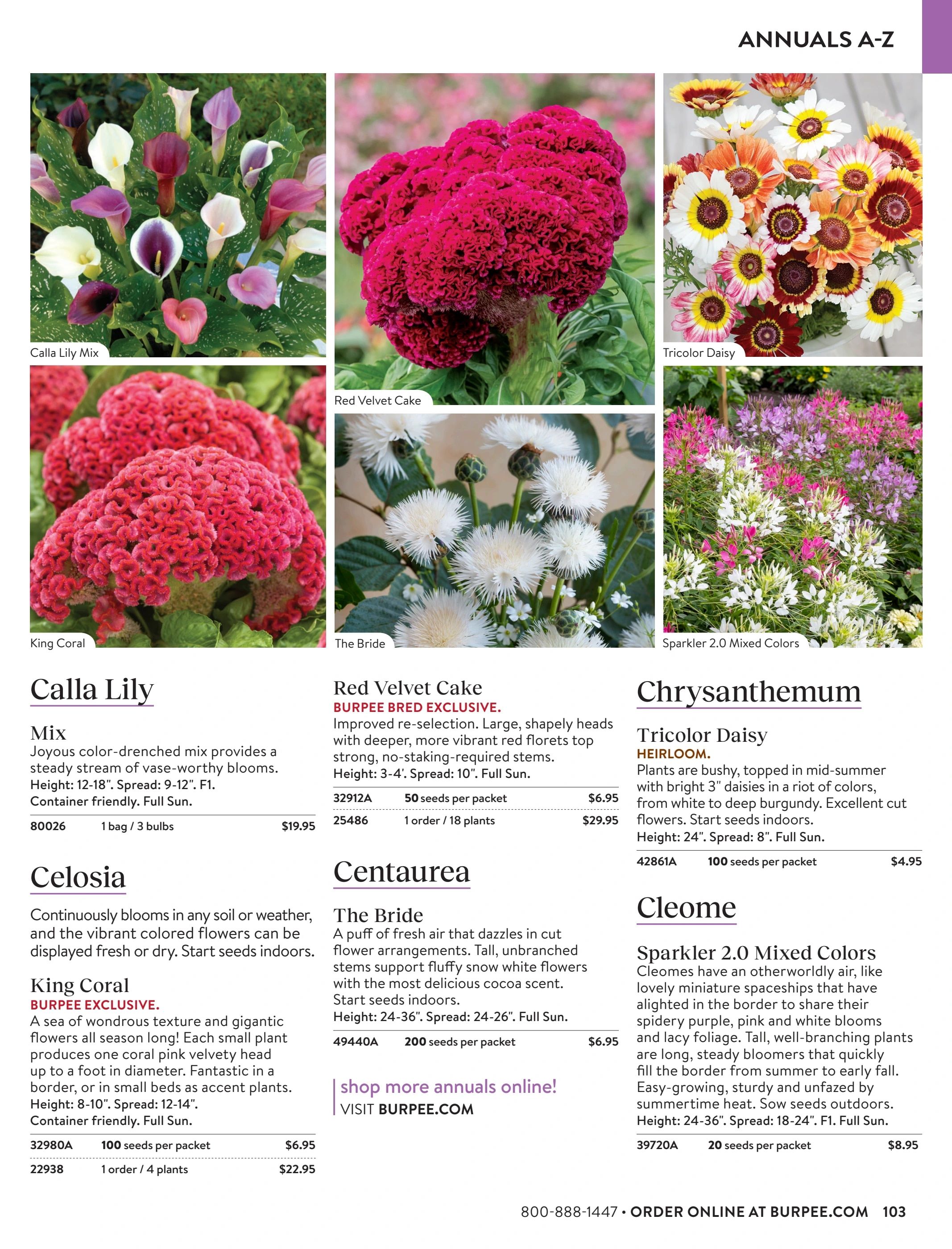 Burpee Annual Seed Catalog Weekly Ad January 1 - December 31, 2026