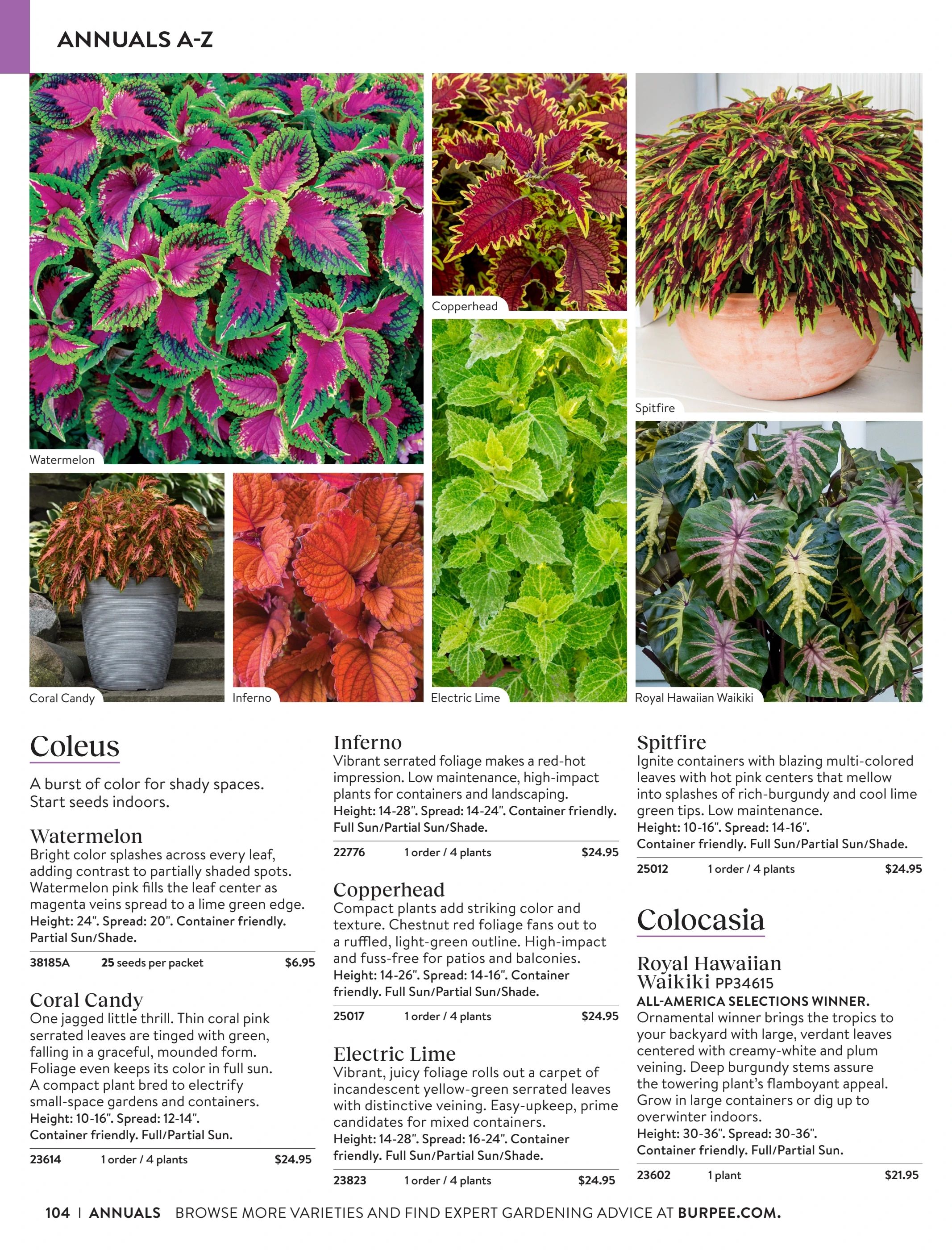 Burpee Annual Seed Catalog Weekly Ad January 1 - December 31, 2026