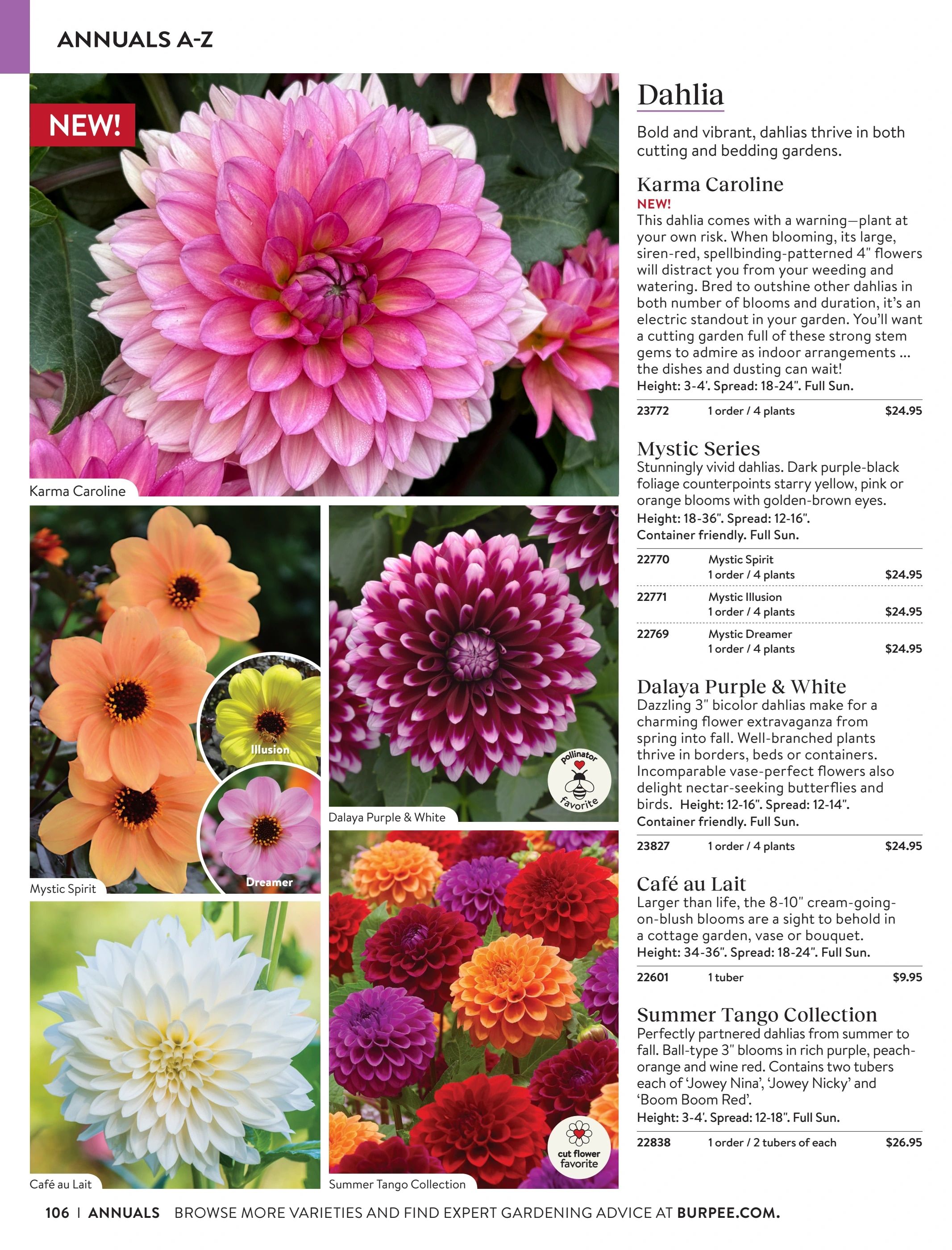 Burpee Annual Seed Catalog Weekly Ad January 1 - December 31, 2026