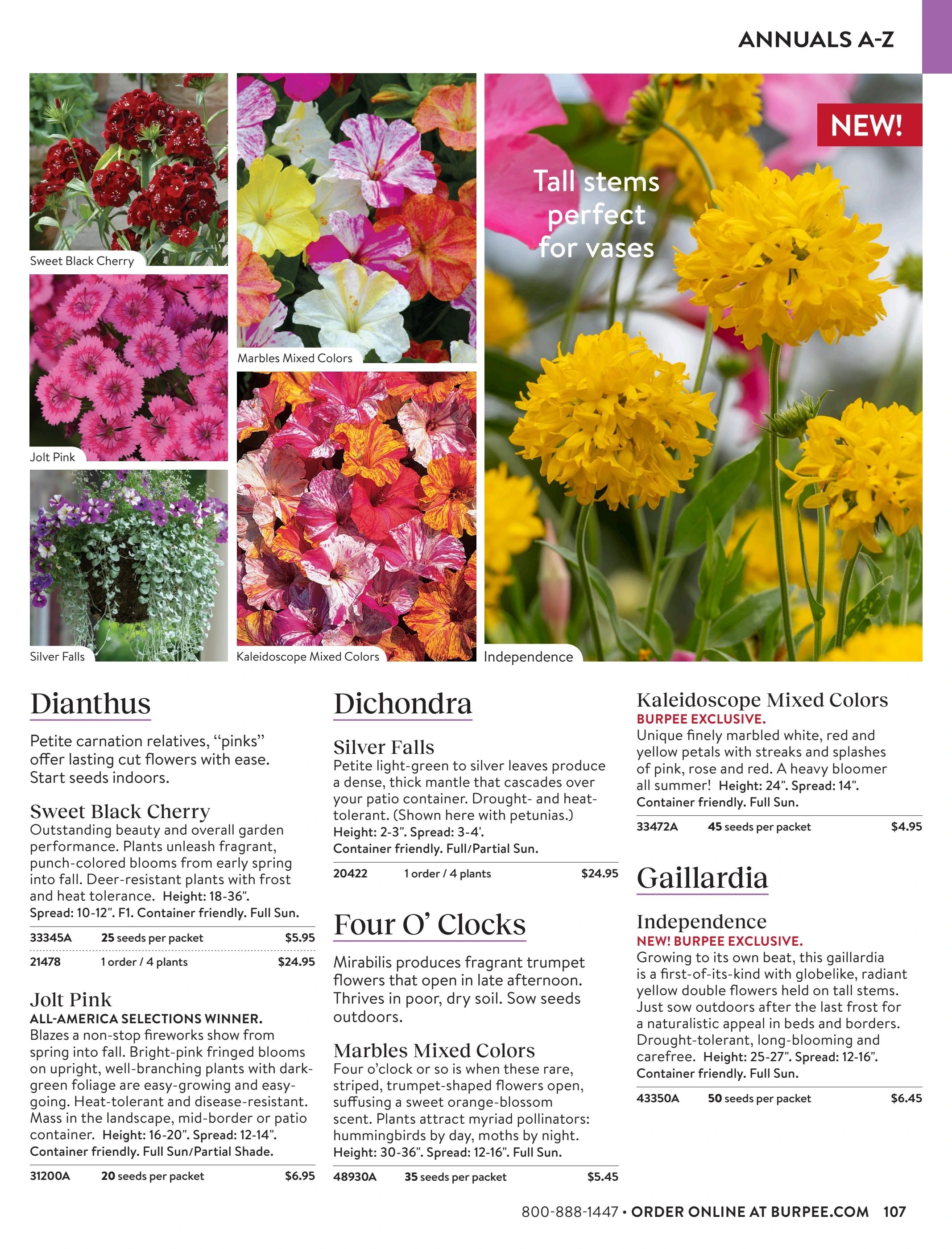 Burpee Annual Seed Catalog Weekly Ad January 1 - December 31, 2026