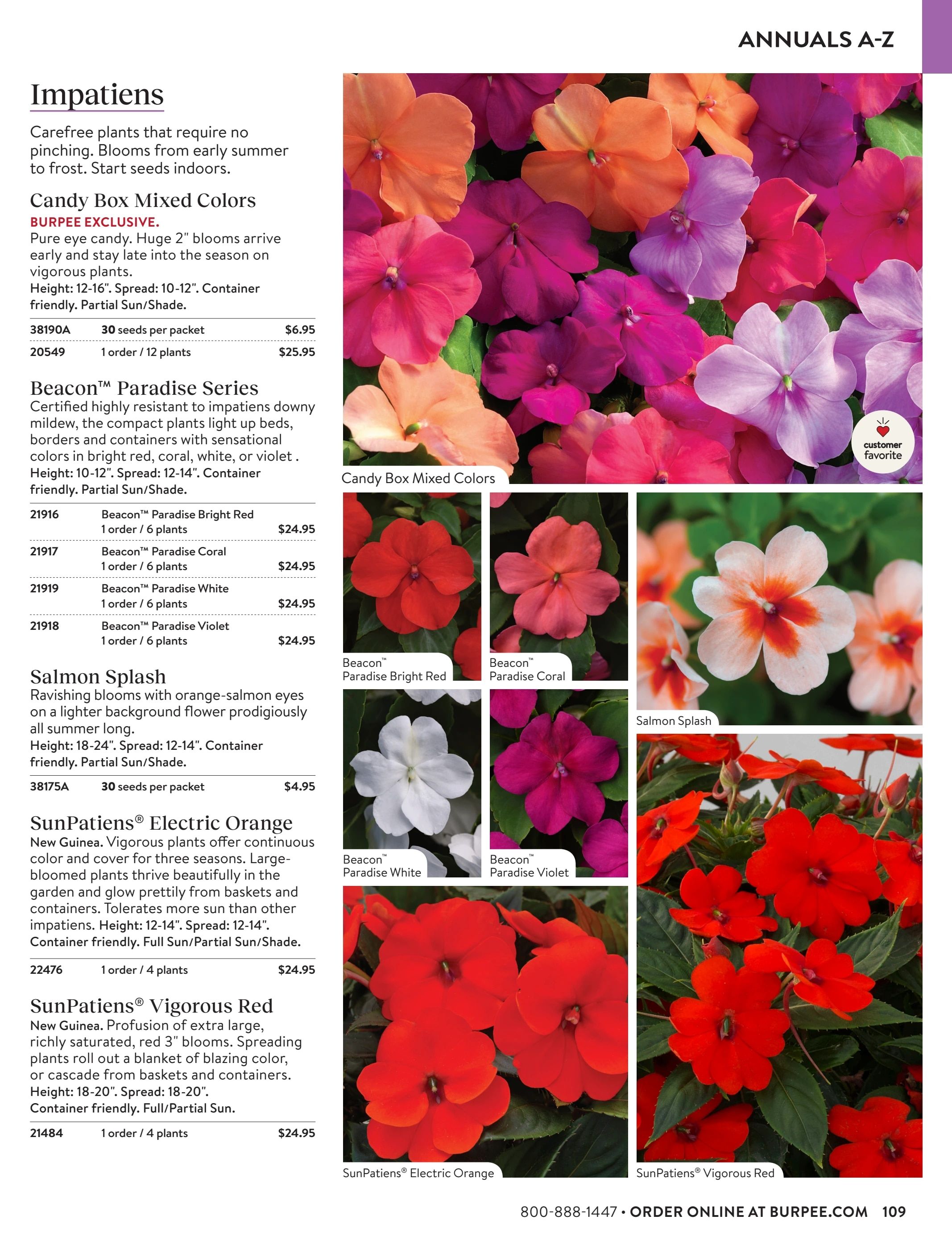 Burpee Annual Seed Catalog Weekly Ad January 1 - December 31, 2026