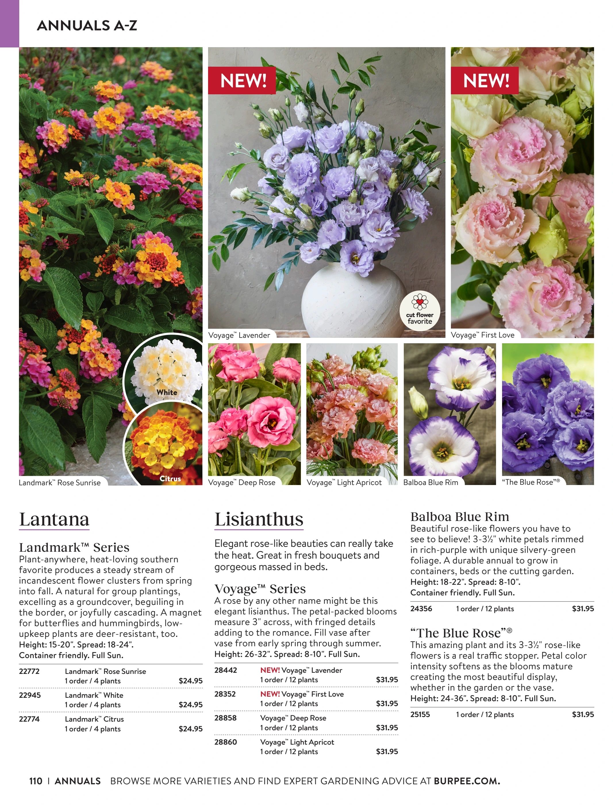 Burpee Annual Seed Catalog Weekly Ad January 1 - December 31, 2026