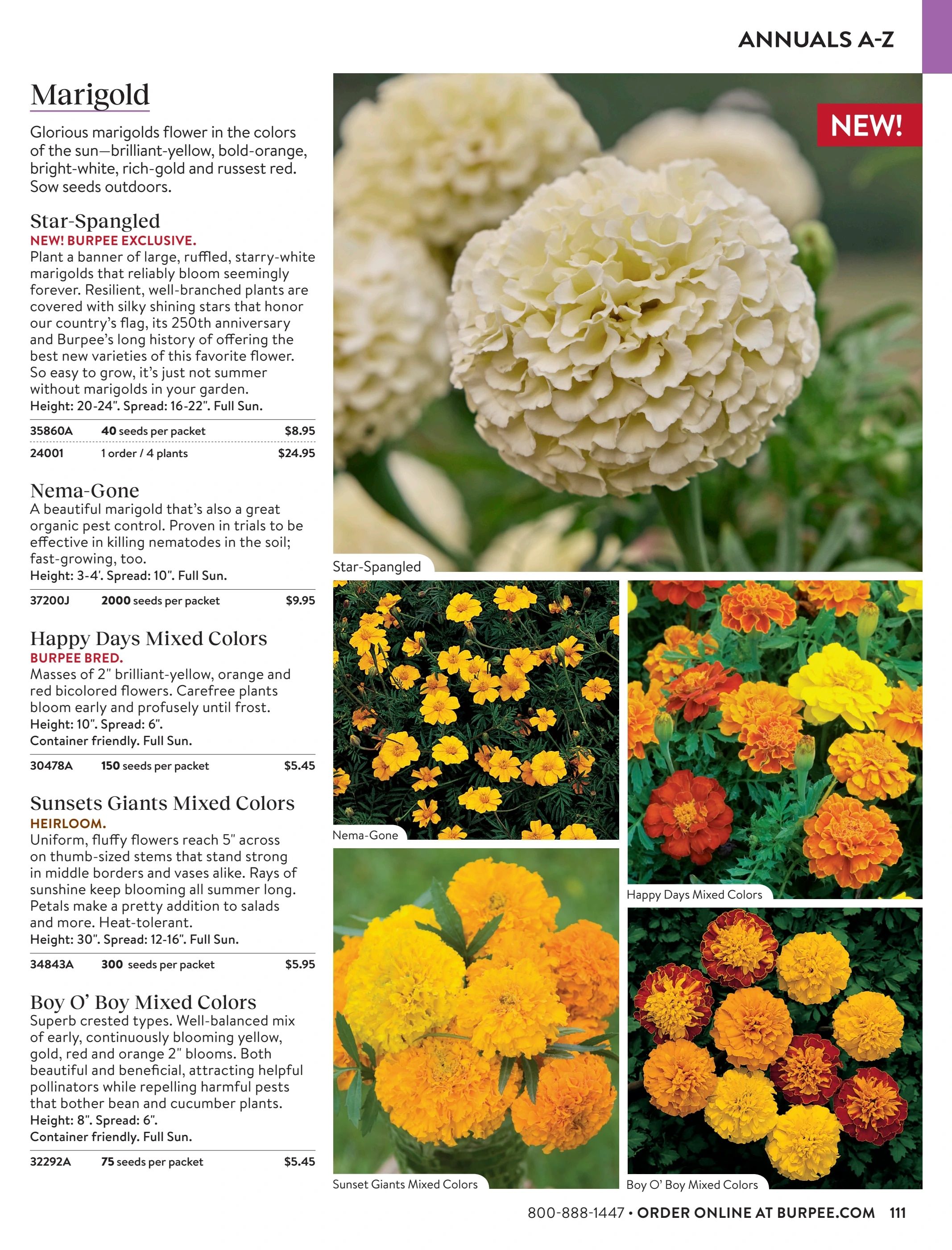 Burpee Annual Seed Catalog Weekly Ad January 1 - December 31, 2026