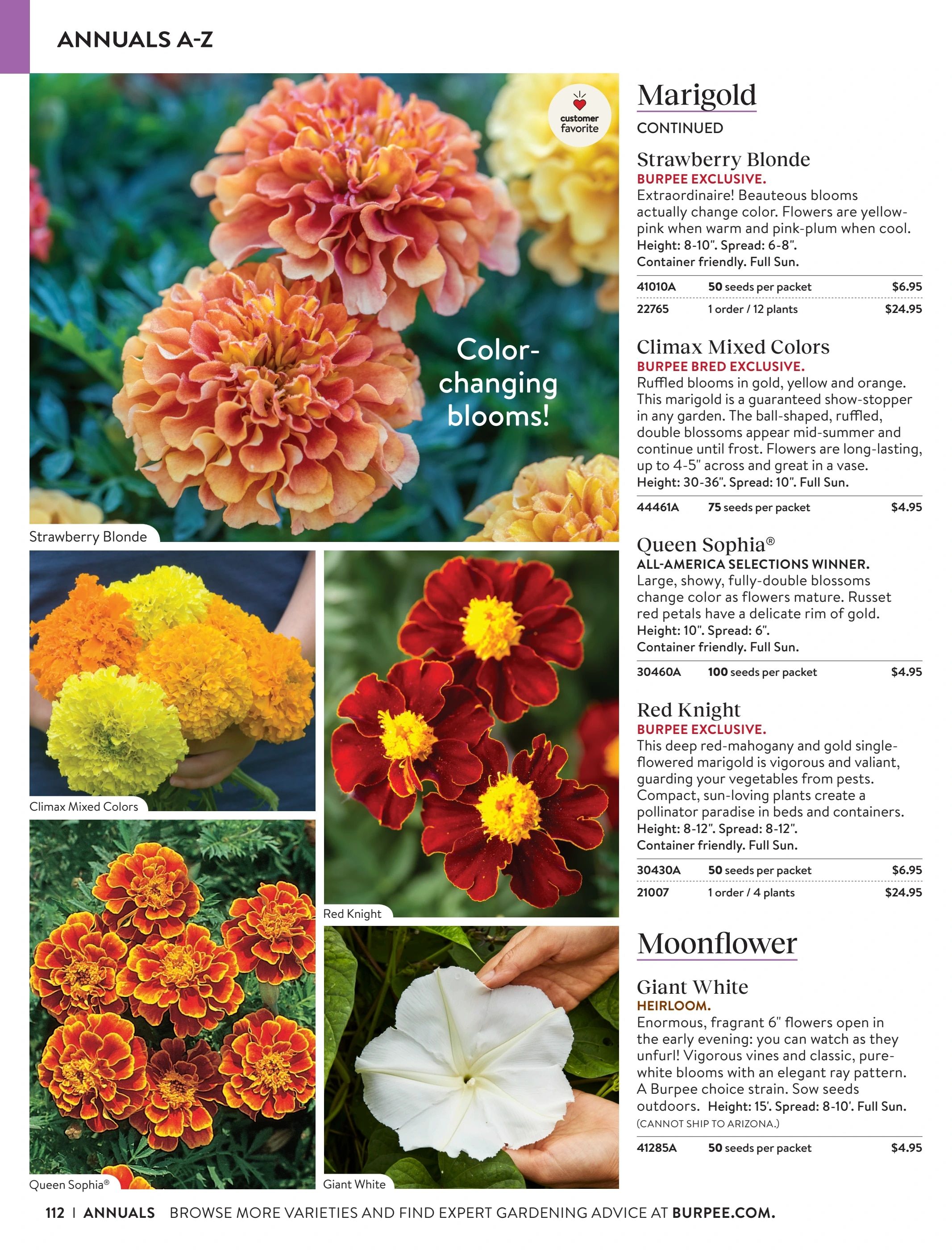 Burpee Annual Seed Catalog Weekly Ad January 1 - December 31, 2026