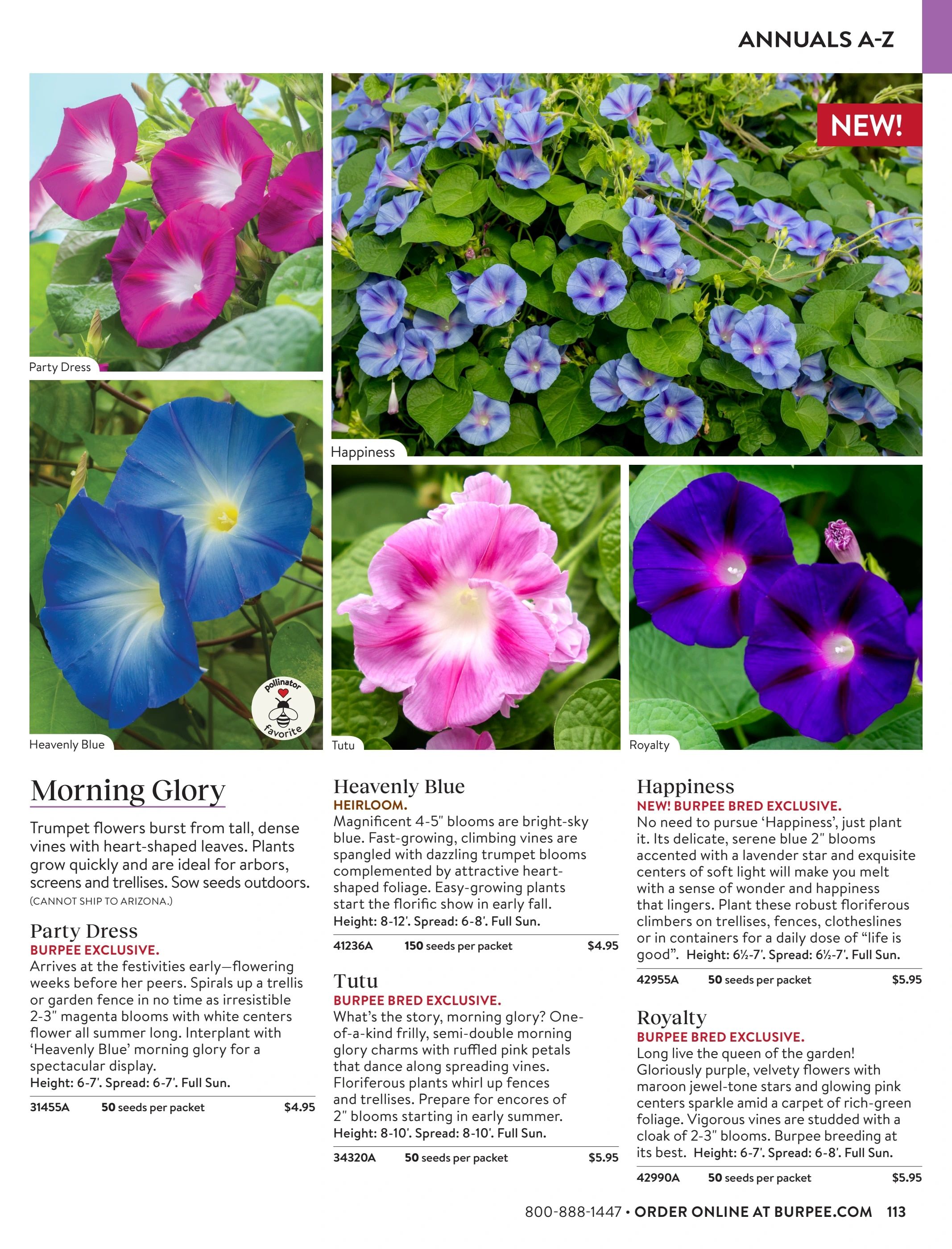 Burpee Annual Seed Catalog Weekly Ad January 1 - December 31, 2026