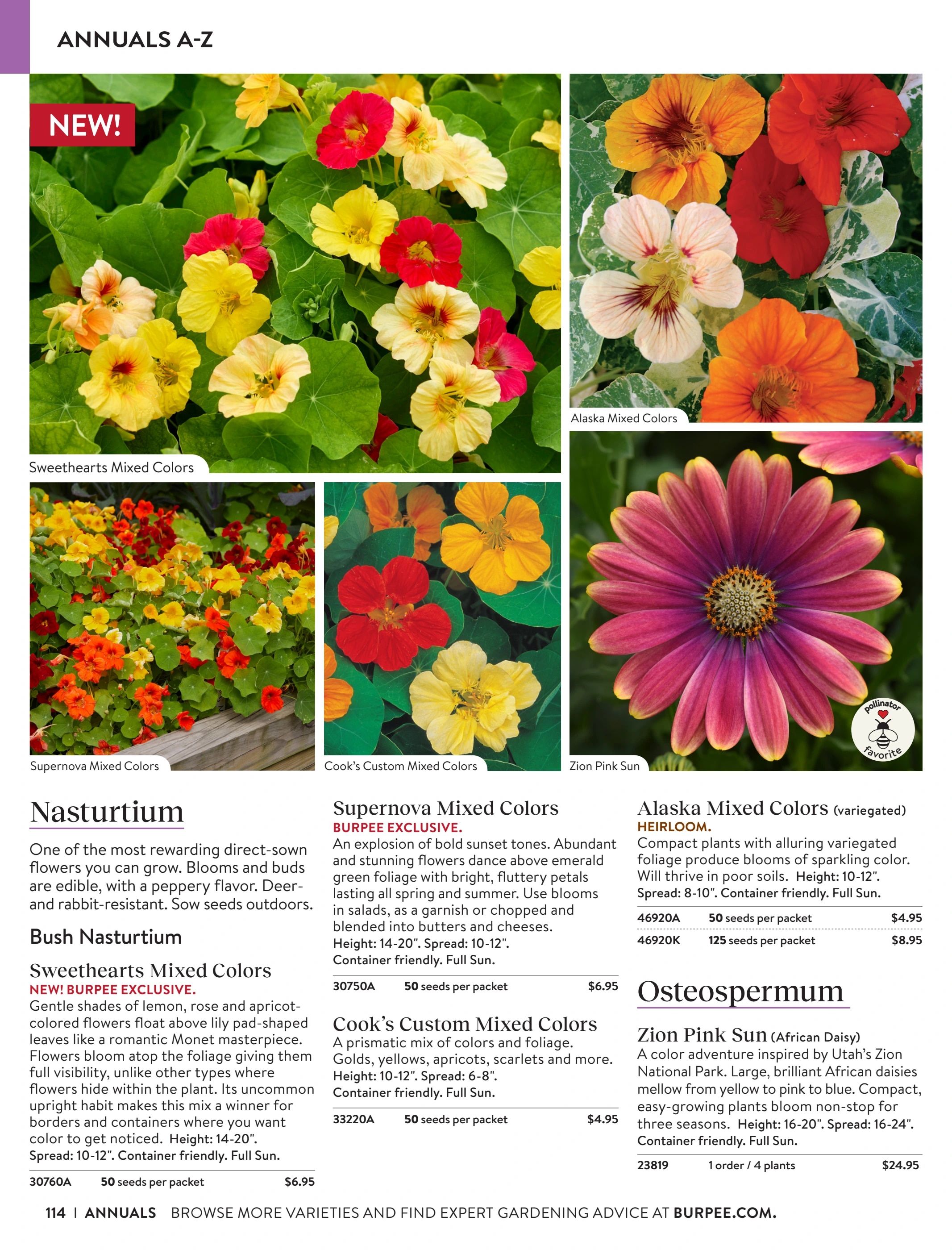 Burpee Annual Seed Catalog Weekly Ad January 1 - December 31, 2026