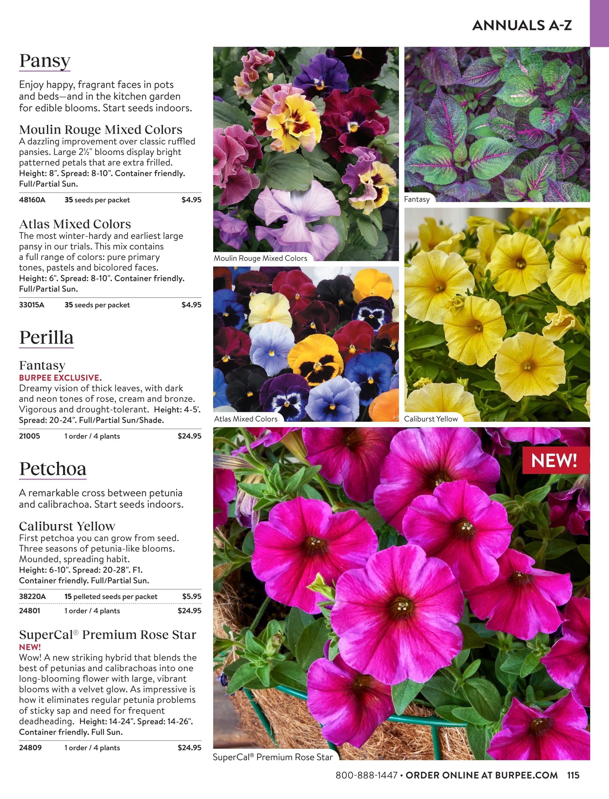 Burpee Annual Seed Catalog Weekly Ad January 1 - December 31, 2026